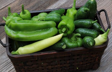 Taze bahçe sebze tablo ve dondurucu için gidiyoruz