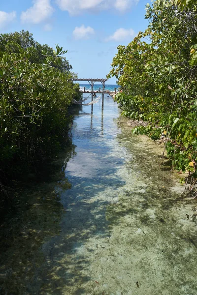 Aruba Adasında Renkli Bir Manzara Bulundu — Stok fotoğraf