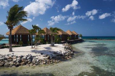 Aruba Rönesans Adası'nda cabanas Satır