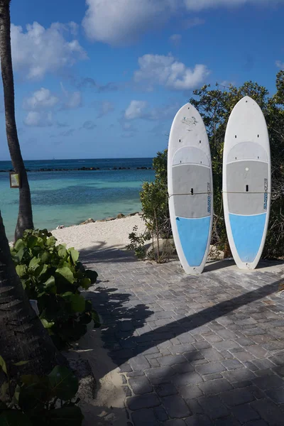 Tablas Surf Esperando Próximo Surfista Soleada Aruba — Foto de Stock
