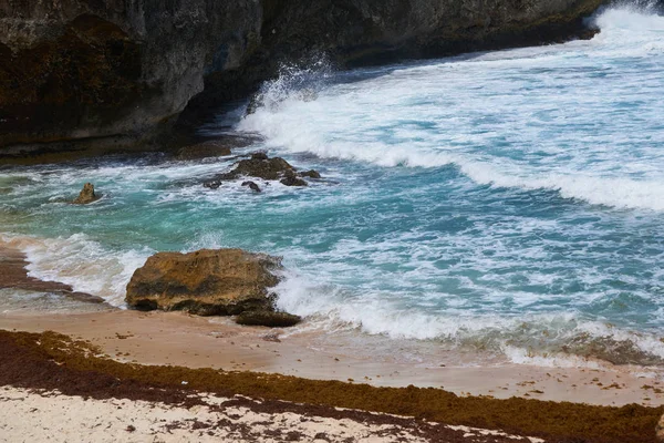 Aruba 'nın kuzeydoğu kıyısındaki Arikok Ulusal Parkı' nda yer alan bu tenha sahil, Aruba 'nın kuzey sahili ikonik manzarasına mükemmel bir örnek teşkil ediyor.