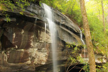 İpeksi pürüzsüz su erken ilkbaharda Blue Ridge Parkway boyunca Kuzey Carolina düşüyor