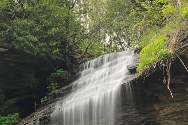 İpeksi pürüzsüz su erken ilkbaharda Blue Ridge Parkway boyunca Kuzey Carolina düşüyor