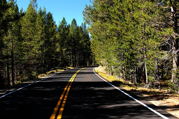 Seul Tronçon Droit Autoroute Allant Dans Parc National Yosemite Travers — Photo