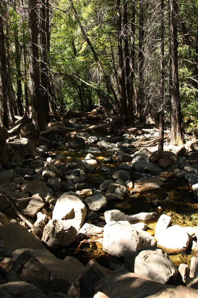 渓流の垂直写真が森と丸みを帯びた花崗岩の石の中を流れる — ストック写真