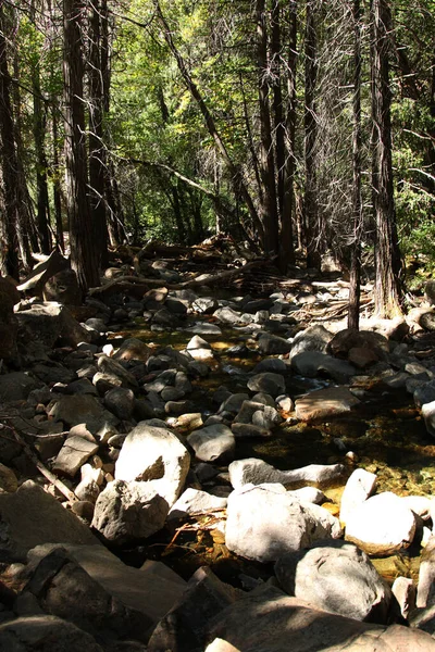 Foto Vertical Arroyo Montaña Corriendo Por Bosque Piedras Granito Redondas — Foto de Stock