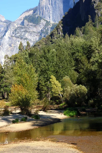 Merced River Yosemite Valley Slingrar Sig Genom Höstfärgerna Längs Stranden — Stockfoto