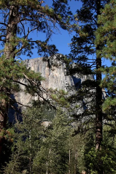 Media Cúpula Valle Yosemite — Foto de Stock