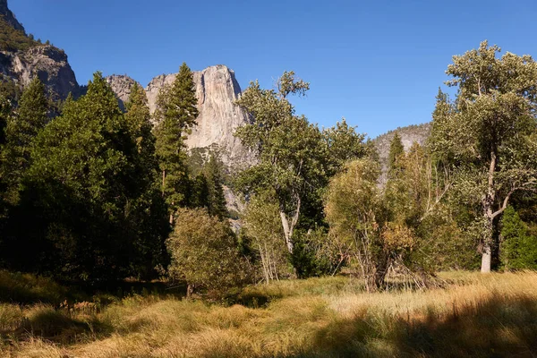 Cores Outono Yosemitie Valley Prados — Fotografia de Stock