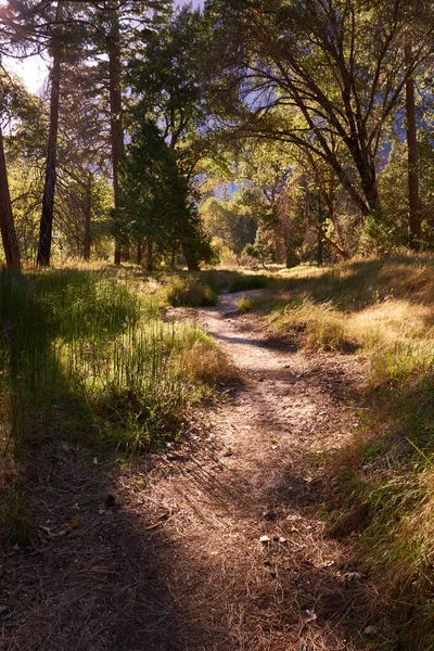 Sendero Bien Recorrido Valle Yosemitie —  Fotos de Stock