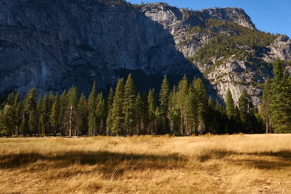 Prado Outono Parque Nacional Yosemite — Fotografia de Stock