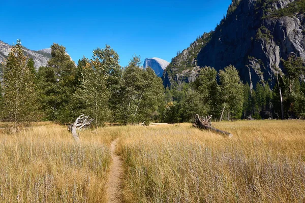 Sentier Randonnée Dans Les Prairies Parc National Yosemite — Photo