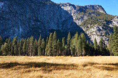 Yosemite Ulusal Parkı 'nın çayırı sonbahar renklerini gösteriyor