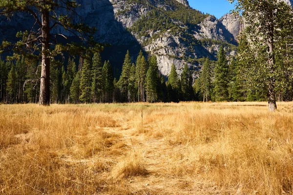 Grama Alta Prado Parque Nacional Yosemite Nos Meses Outono — Fotografia de Stock