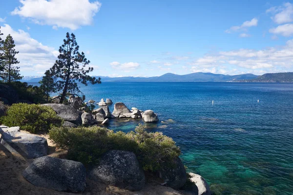 Pine Trees Growing Out Rocky Shores Lake Tahoe Mountains Background — Stock Photo, Image