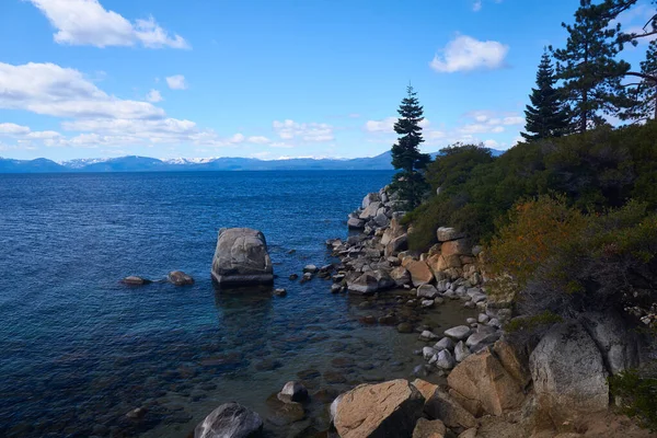 Couleurs Automnales Mélangées Avec Grands Pins Sur Rive Lac Tahoe — Photo