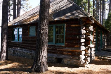 Tahoe Gölü 'nde, kış ayları boyunca kapatılmış, büyük Ponderosa çamlarıyla inşa edilmiş ahşap kulübe..