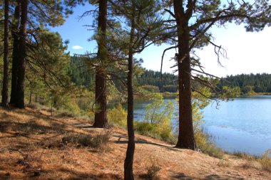Güzel Sierra Nevada sıradağları Sonbahar renkleri yükselmeye başlıyor.