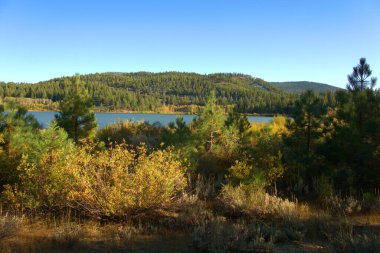 Sonbahar renkleri, güneş ufuktan battığında en iyi renkleri gösterir. 