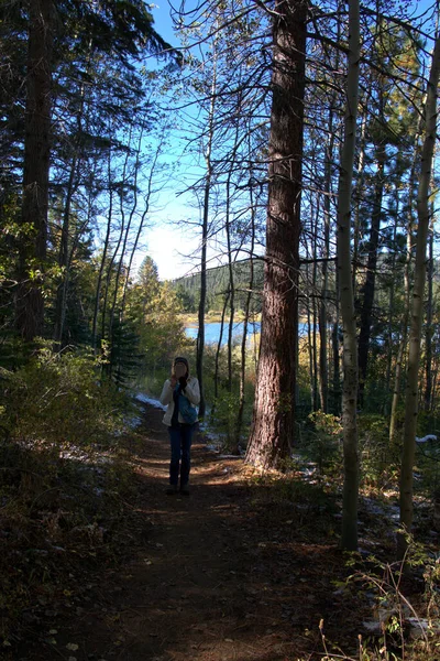 Frau Auf Bergpfad Einem See Mit Handy Für Fotos Frühherbst — Stockfoto