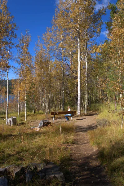 Senhora Sentada Banco Longo Lago Montanha Nas Montanhas Lake Tahoe — Fotografia de Stock