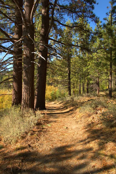 Sentiero Escursionistico Nelle Montagne Della Serria Nevada Autunno — Foto Stock