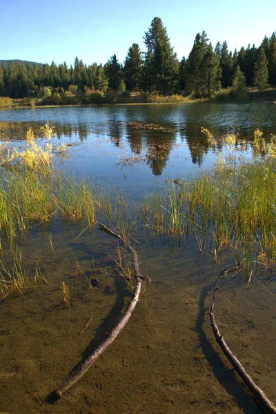 Atardecer Trae Reflexiones Sobre Agua Del Lago Spooner Lago Tahoe —  Fotos de Stock