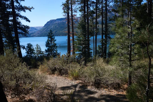 Bellissimo Paesaggio Del Lago Tahoe Sentiero Escursionistico — Foto Stock