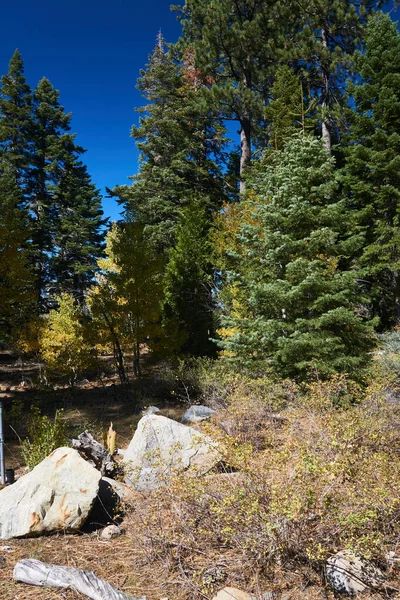 Sentiero Escursionistico Attraverso Montagne Della Sierra Nevada Vicino Lago Tahoe — Foto Stock