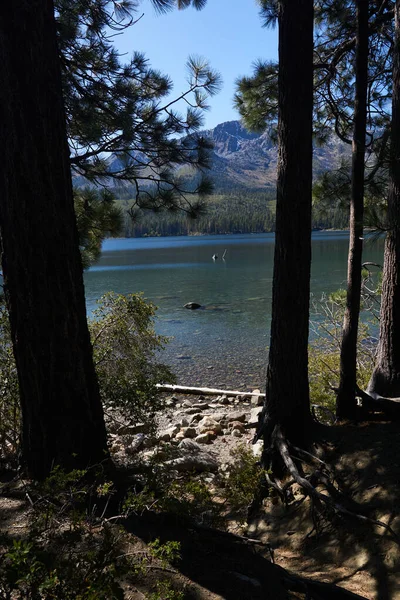 Utsikt Över Ett Berg Och Sjö Från Vandringsled Lake Tahoe — Stockfoto