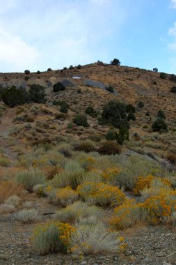Sierra Nevada dağlarının ıssız eteklerinde birçok mayın vardır..