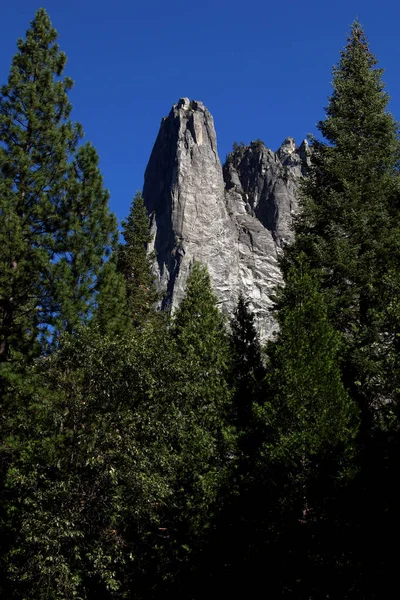 Pico Catedral Entre Pinos Parque Nacional Yosemite — Foto de Stock