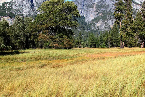 Prairie Montagne Sous Les Pics Granit Parc National Yosemite — Photo