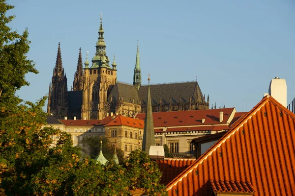 Los Edificios Arquitectura Praga Son Impresionantes Fachadas Pintadas Esculturas Intrincadas — Foto de Stock