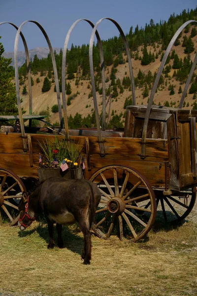 donkey buggy