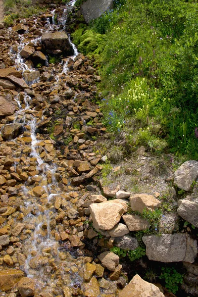 Cascada Cayendo Sobre Terreno Rocoso Con Flores Amarillas —  Fotos de Stock