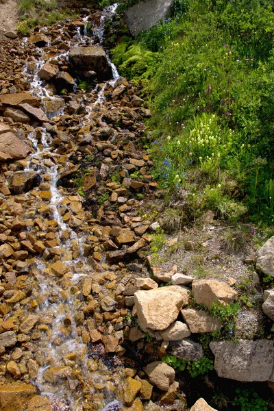 黄色の花で岩だらけの地形を転げ落ちる滝 — ストック写真