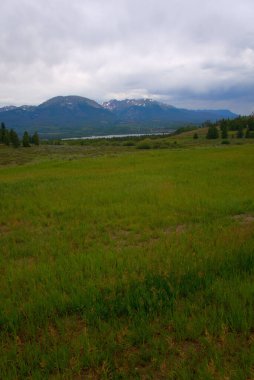 Arka planında yüksek tepeleri olan bir göl olan dağ çayırı.