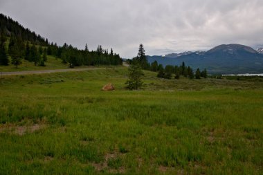 Otoyol bir dağ tepesi çayırında ilerliyor.