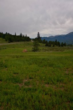 Otoyol bir dağ tepesi çayırında ilerliyor.