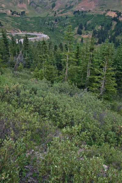 Nad Čárou Horského Stromu Shlíží Dolů Klikatou Dálnici — Stock fotografie