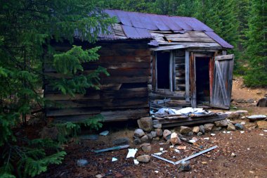 Colorado 'nun Rocky Dağları' nda uzun çam ağaçlarıyla çevrili terk edilmiş bir maden kulübesi.