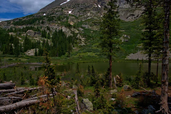 Kolorowy Zielony Otaczający Górskie Jezioro Pełne Krystalicznie Czystej Wody — Zdjęcie stockowe