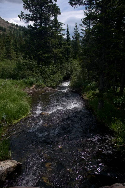Чиста Вода Гірському Потоці Оточенні Дерев Хмарного Неба — стокове фото