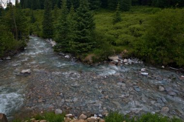 Colorado 'nun Rocky Dağları' ndaki bir dağ deresinin berrak suları