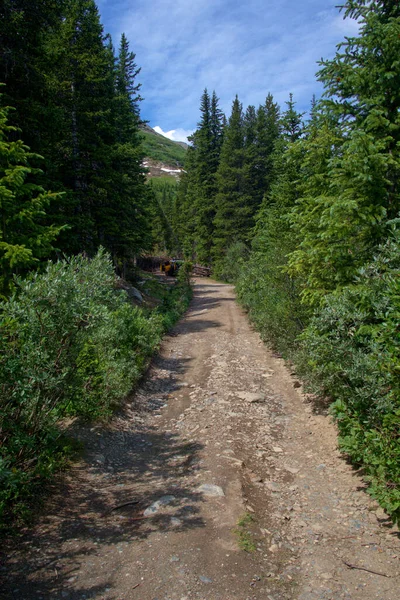 Sentier Randonnée Travers Les Montagnes Rocheuses Colorado Par Une Belle — Photo