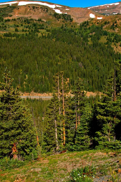 Alto Paso Montaña — Foto de Stock