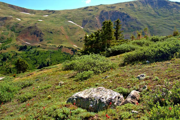 Bunte Berglandschaft Juli — Stockfoto