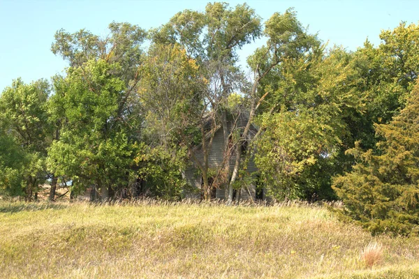 Vegetation Hat Das Verlassene Bauernhaus Übernommen — Stockfoto