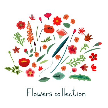 Kırmızı vektör çiçek ve yaprakları koleksiyonu